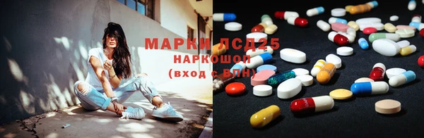 PSILOCYBIN Баксан