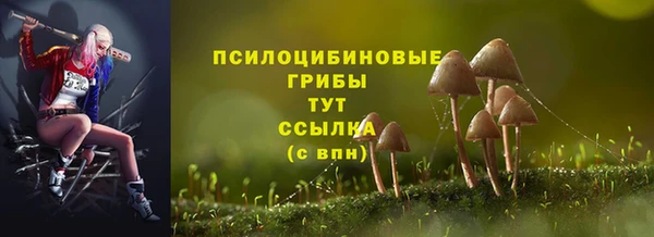 PSILOCYBIN Баксан