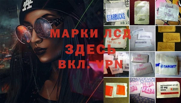PSILOCYBIN Баксан