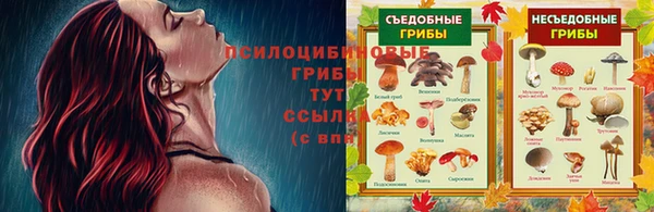 PSILOCYBIN Баксан