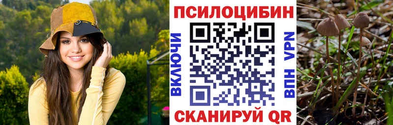 Псилоцибиновые грибы MAGIC MUSHROOMS  Верхняя Салда 